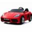 24V 2 Seater Supercar Ride On Car Swatch